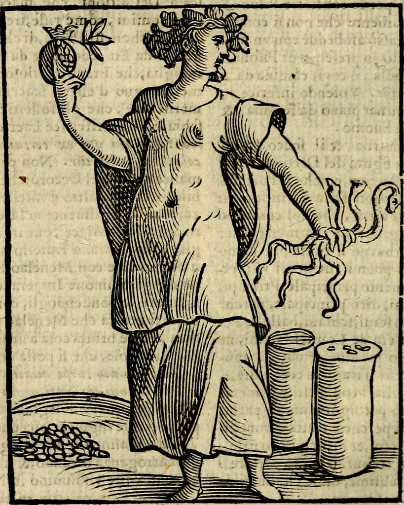An illustration from Della novissima iconologia, 1625, leaf 227