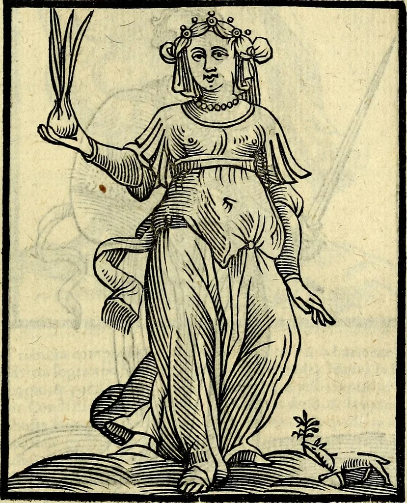 An illustration from Della novissima iconologia, 1625, leaf 232