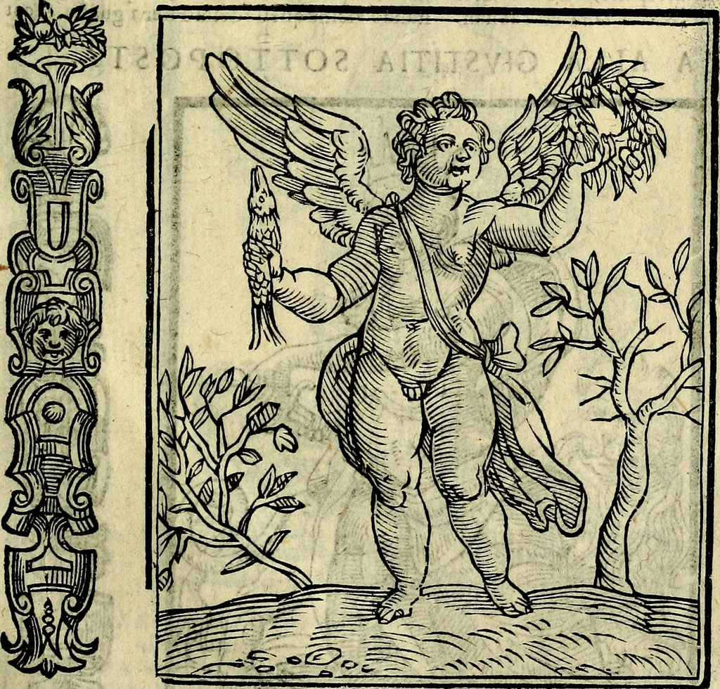 An illustration from Della novissima iconologia, 1625, leaf 322