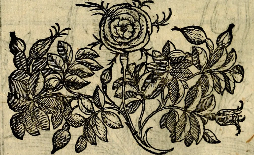 An illustration from Della novissima iconologia, 1625, leaf 331