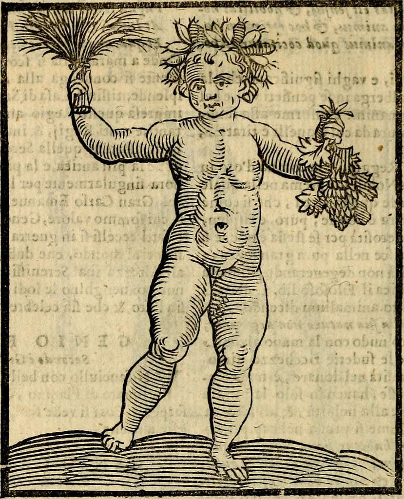 An illustration from Della novissima iconologia, 1625, leaf 341