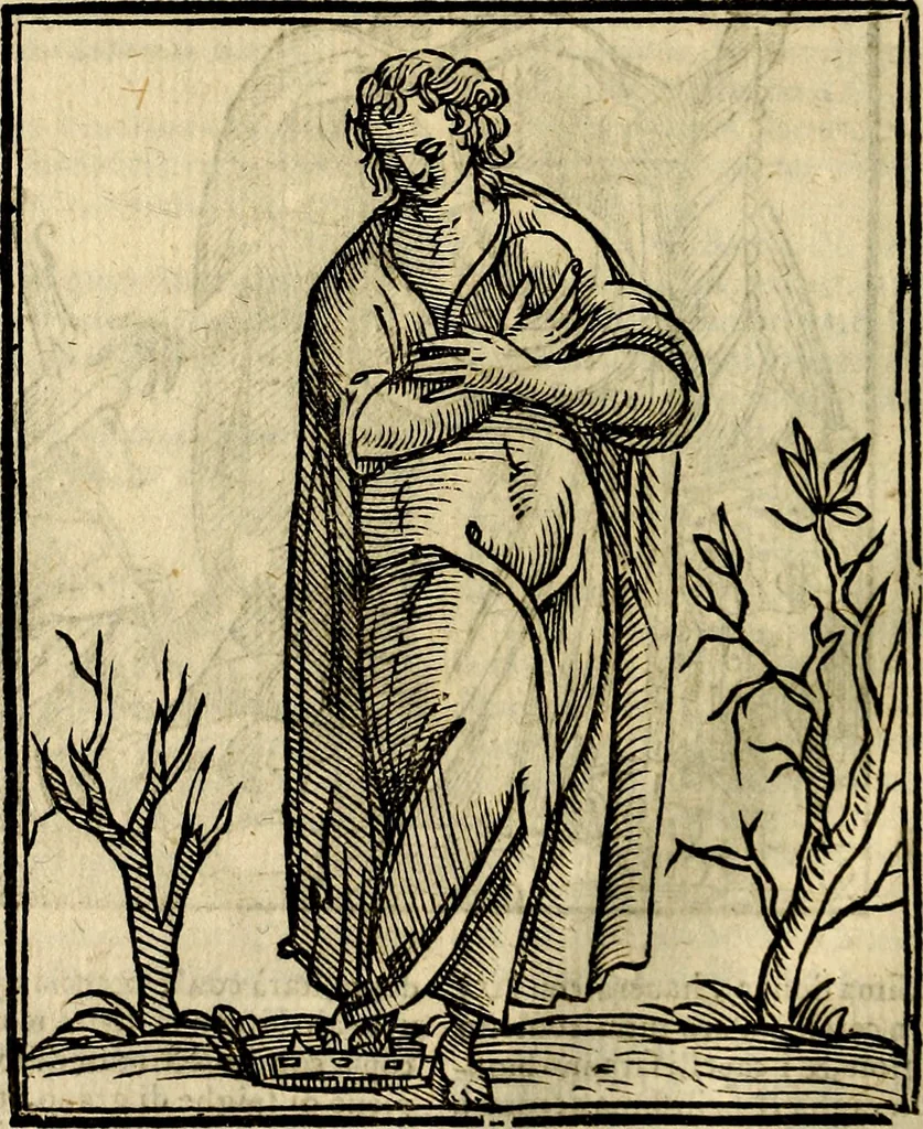An illustration from Della novissima iconologia, 1625, leaf 371