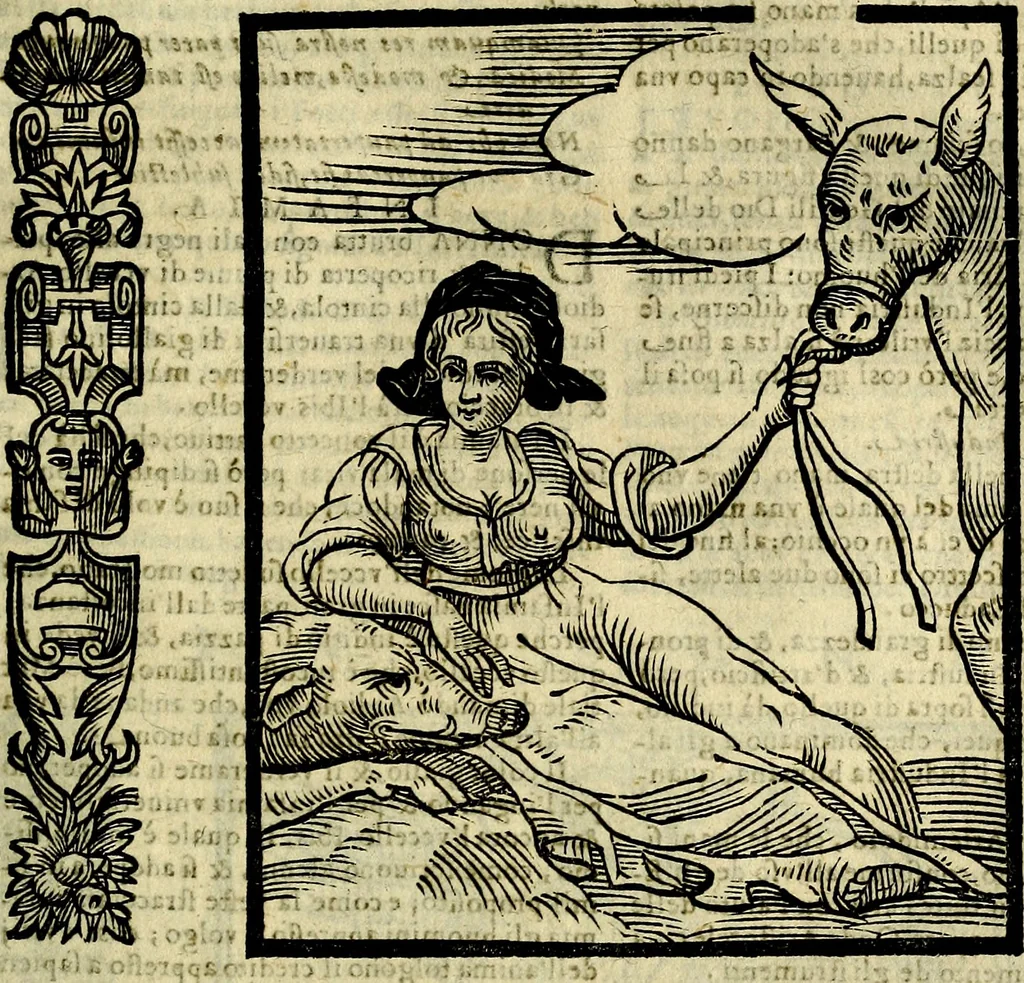 An illustration from Della novissima iconologia, 1625, leaf 384