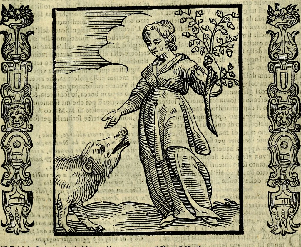 An illustration from Della novissima iconologia, 1625, leaf 390