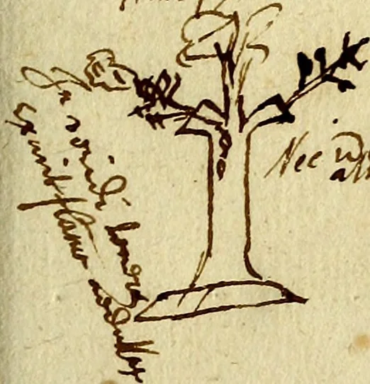 An illustration from Della novissima iconologia, 1625, leaf 4
