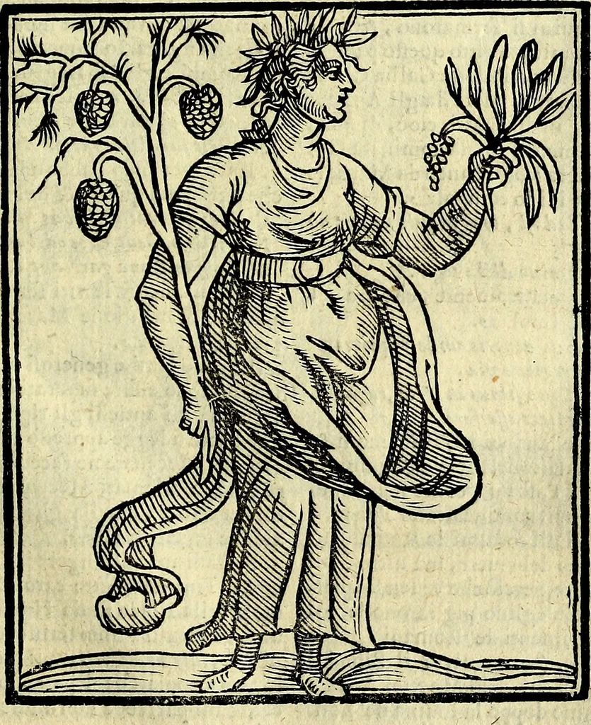 An illustration from Della novissima iconologia, 1625, leaf 438