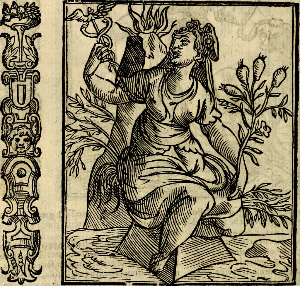 An illustration from Della novissima iconologia, 1625, leaf 449