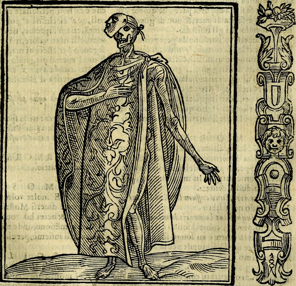 An illustration from Della novissima iconologia, 1625, leaf 512
