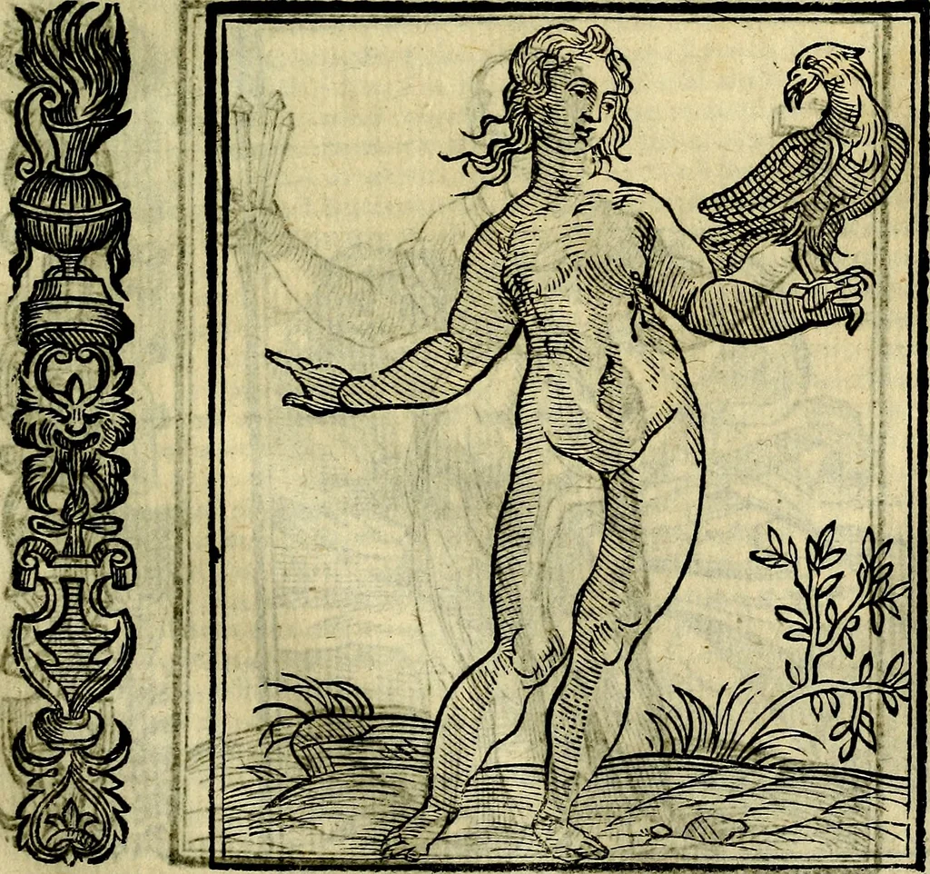 An illustration from Della novissima iconologia, 1625, leaf 526