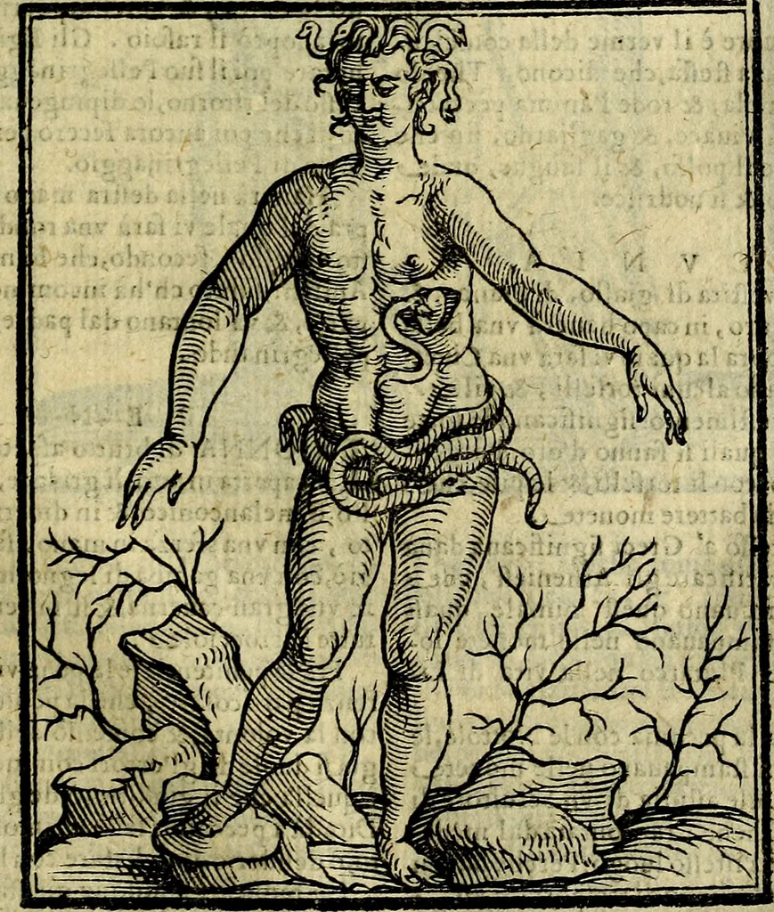 An illustration from Della novissima iconologia, 1625, leaf 570