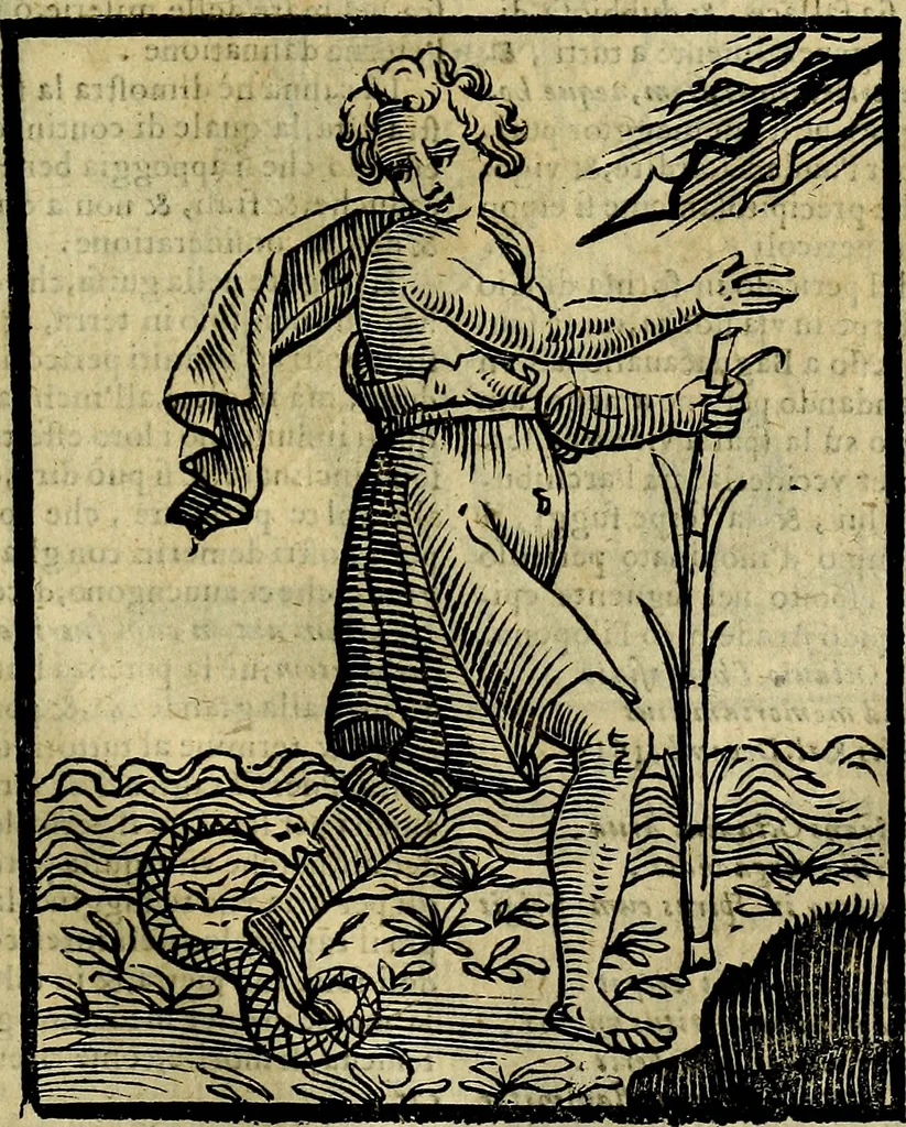 An illustration from Della novissima iconologia, 1625, leaf 574