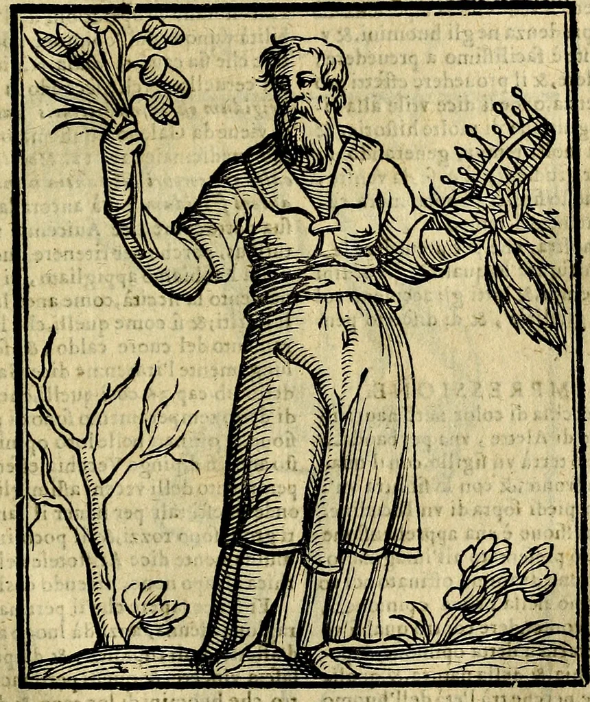 An illustration from Della novissima iconologia, 1625, leaf 596
