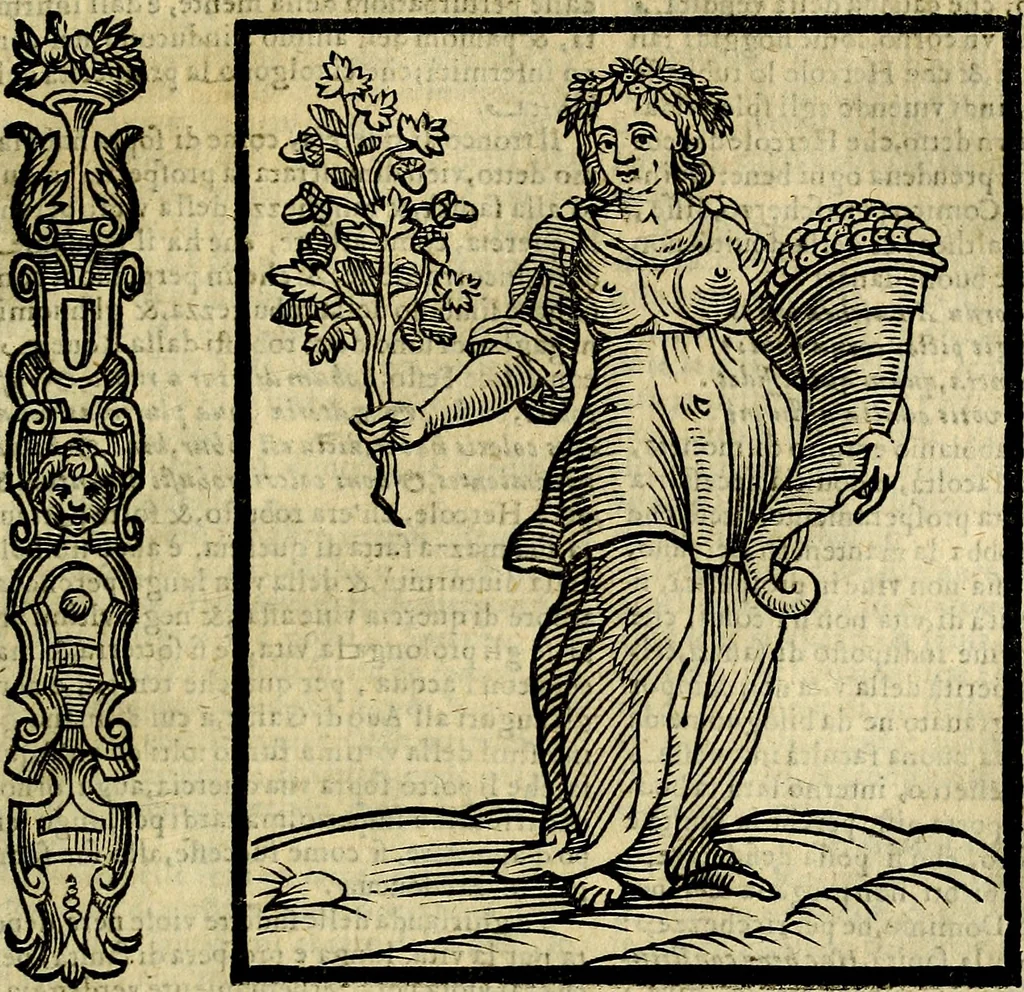 An illustration from Della novissima iconologia, 1625, leaf 602