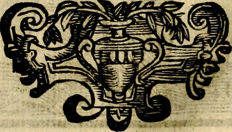 An illustration from Della novissima iconologia, 1625, leaf 611