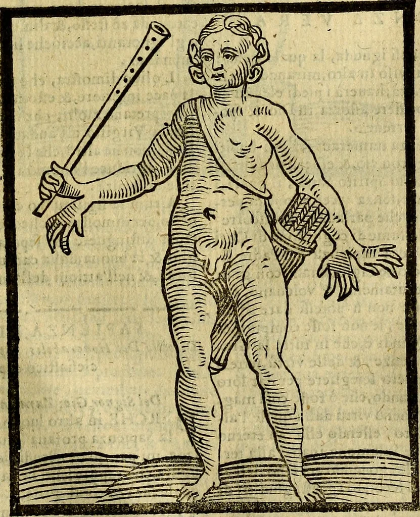 An illustration from Della novissima iconologia, 1625, leaf 652