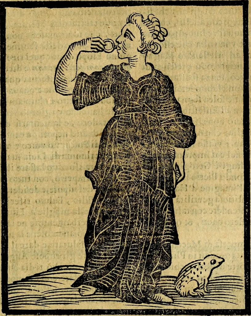 An illustration from Della novissima iconologia, 1625, leaf 666