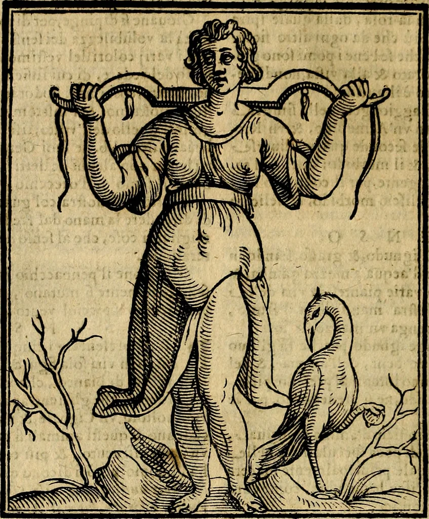 An illustration from Della novissima iconologia, 1625, leaf 675