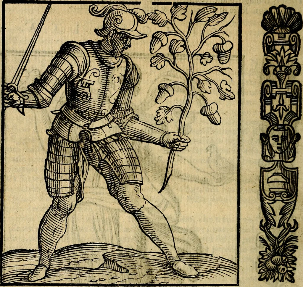 An illustration from Della novissima iconologia, 1625, leaf 689