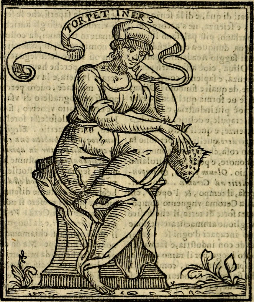 An illustration from Della novissima iconologia, 1625, leaf 71