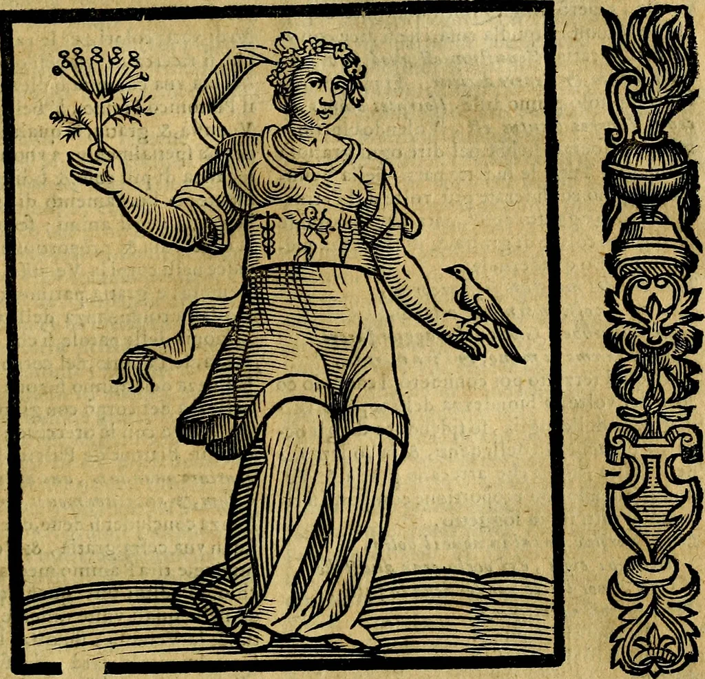 An illustration from Della novissima iconologia, 1625, leaf 762