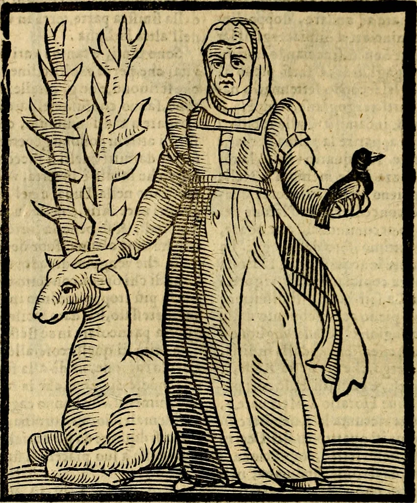An illustration from Della novissima iconologia, 1625, leaf 799