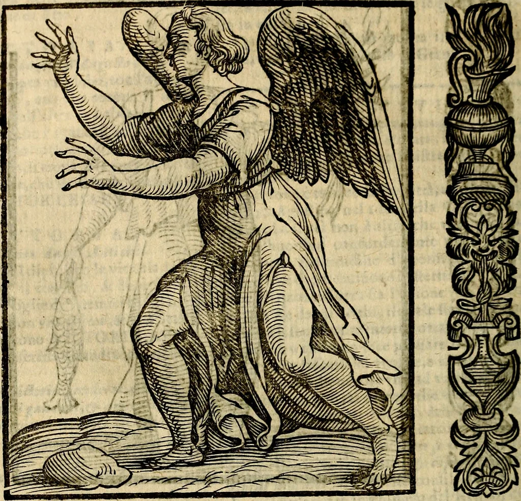 An illustration from Della novissima iconologia, 1625, leaf 803