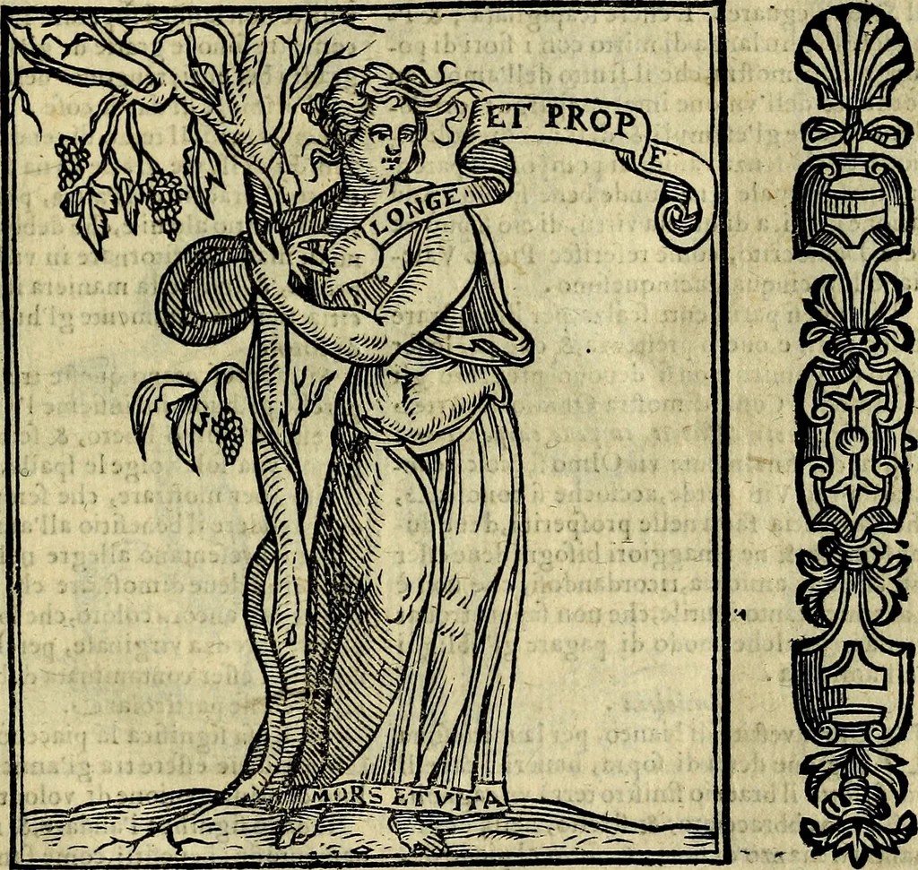 An illustration from Della novissima iconologia, 1625, leaf 90