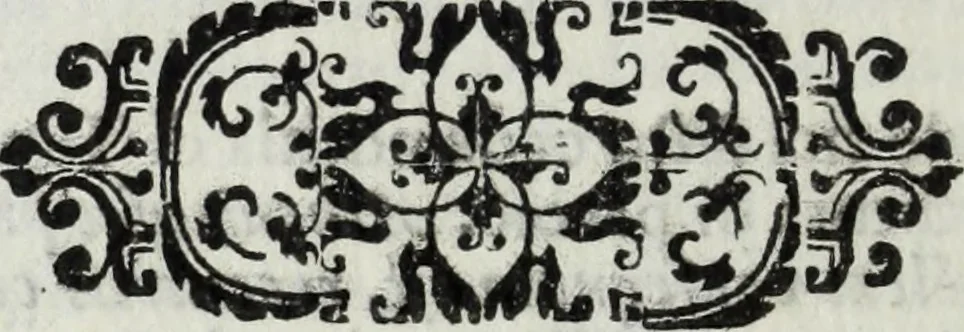 An illustration from Dell'antica Siracusa, illustrata di d. Giacomo Bonanni e Colonna, duca di Montalbano, libri due : nel primo si discorre de' luoghi della citta, nell'altro de gli huomini celebri di essa : si spiegano diverse notitie all' antichita pertinenti, 1624, leaf 217