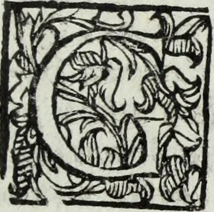 An illustration from Dell'antica Siracusa, illustrata di d. Giacomo Bonanni e Colonna, duca di Montalbano, libri due : nel primo si discorre de' luoghi della citta, nell'altro de gli huomini celebri di essa : si spiegano diverse notitie all' antichita pertinenti, 1624, leaf 218
