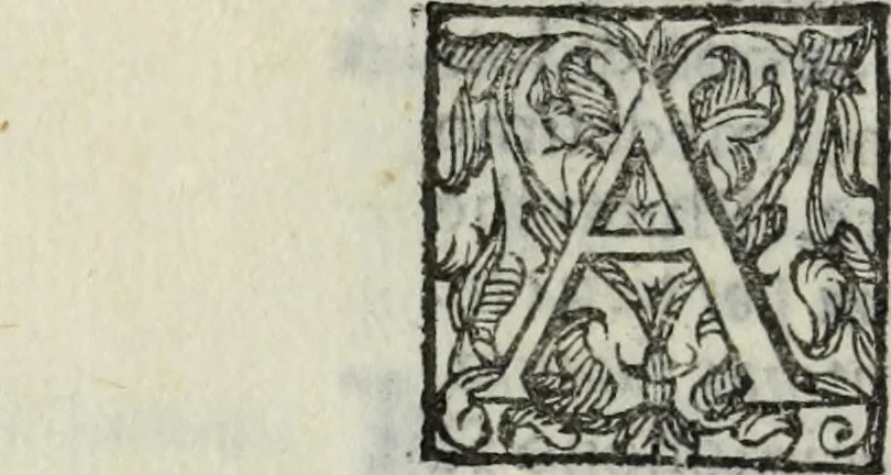 An illustration from Dell'antica Siracusa, illustrata di d. Giacomo Bonanni e Colonna, duca di Montalbano, libri due : nel primo si discorre de' luoghi della citta, nell'altro de gli huomini celebri di essa : si spiegano diverse notitie all' antichita pertinenti, 1624, leaf 61