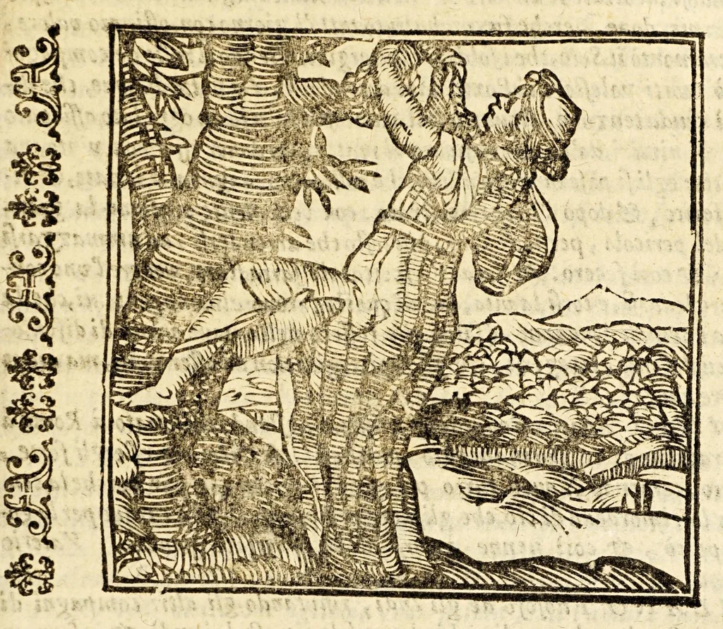 An illustration from Della officina istorica / Nella quale si spiegano essempi notabilissimi, antichi, & moderni, à virtù, & à diffetto pertinenti. Dà quali può ageuolmente il professore di lettere, e d'armi, lo studioso d'istoria, di poesia, di costumi, e di cose varie, il curioso ancora può trarre vtilità per corregere non pur i mancamenti altrui, ma i proprij, e d'incaminarsi nella strada delle virtù. Con vna aggiunta non più stampata di accidenti seguiti, & per hauere alcuni finto temerariamente la persona altrui, e d'altri casi successi in diuersi tempi, 1622, leaf 219