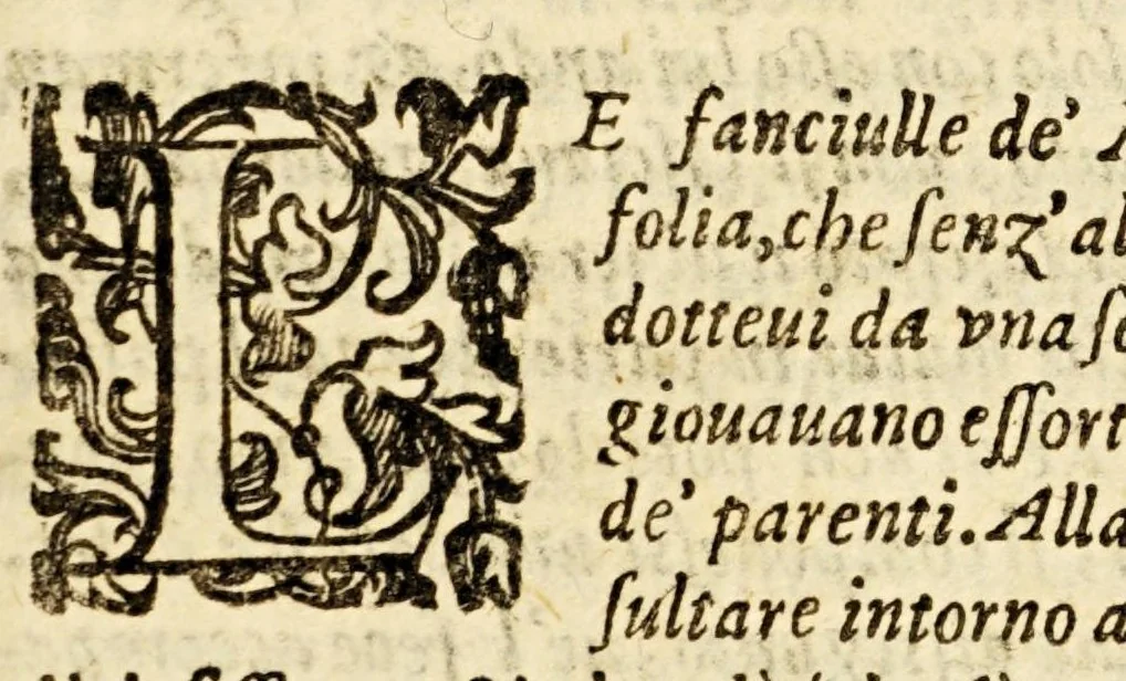 An illustration from Della officina istorica / Nella quale si spiegano essempi notabilissimi, antichi, & moderni, à virtù, & à diffetto pertinenti. Dà quali può ageuolmente il professore di lettere, e d'armi, lo studioso d'istoria, di poesia, di costumi, e di cose varie, il curioso ancora può trarre vtilità per corregere non pur i mancamenti altrui, ma i proprij, e d'incaminarsi nella strada delle virtù. Con vna aggiunta non più stampata di accidenti seguiti, & per hauere alcuni finto temerariamente la persona altrui, e d'altri casi successi in diuersi tempi, 1622, leaf 219