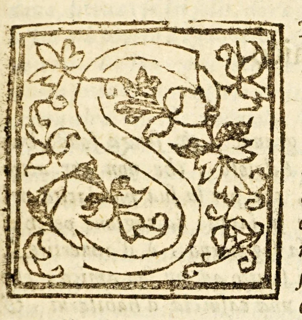 An illustration from Della officina istorica / Nella quale si spiegano essempi notabilissimi, antichi, & moderni, à virtù, & à diffetto pertinenti. Dà quali può ageuolmente il professore di lettere, e d'armi, lo studioso d'istoria, di poesia, di costumi, e di cose varie, il curioso ancora può trarre vtilità per corregere non pur i mancamenti altrui, ma i proprij, e d'incaminarsi nella strada delle virtù. Con vna aggiunta non più stampata di accidenti seguiti, & per hauere alcuni finto temerariamente la persona altrui, e d'altri casi successi in diuersi tempi, 1622, leaf 323