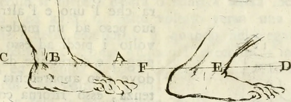 An illustration from Trattato della pittura di Lionardo da Vinci : ridotta alla sua vera lezione sopra una copia a penna di mano, 1792, leaf 128