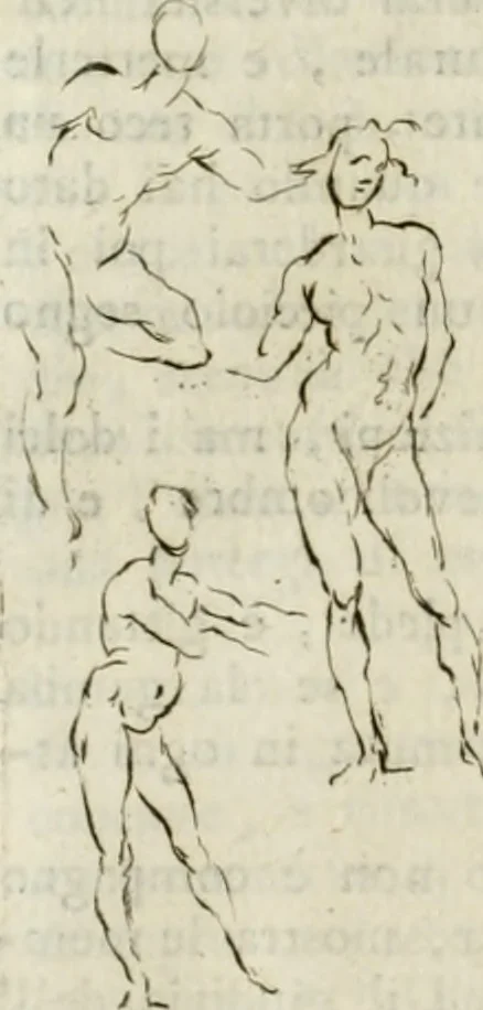 An illustration from Trattato della pittura di Lionardo da Vinci : ridotta alla sua vera lezione sopra una copia a penna di mano, 1792, leaf 133
