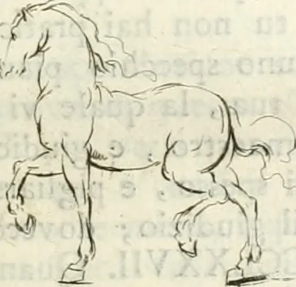 An illustration from Trattato della pittura di Lionardo da Vinci : ridotta alla sua vera lezione sopra una copia a penna di mano, 1792, leaf 146