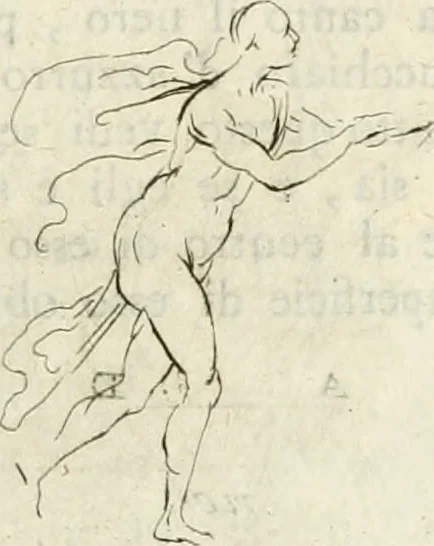 An illustration from Trattato della pittura di Lionardo da Vinci : ridotta alla sua vera lezione sopra una copia a penna di mano, 1792, leaf 152