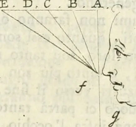 An illustration from Trattato della pittura di Lionardo da Vinci : ridotta alla sua vera lezione sopra una copia a penna di mano, 1792, leaf 162