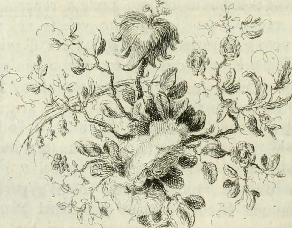 An illustration from Della pittura veneziana e delle opere pubbliche de' veneziani maestri libri V, 1771, leaf 217