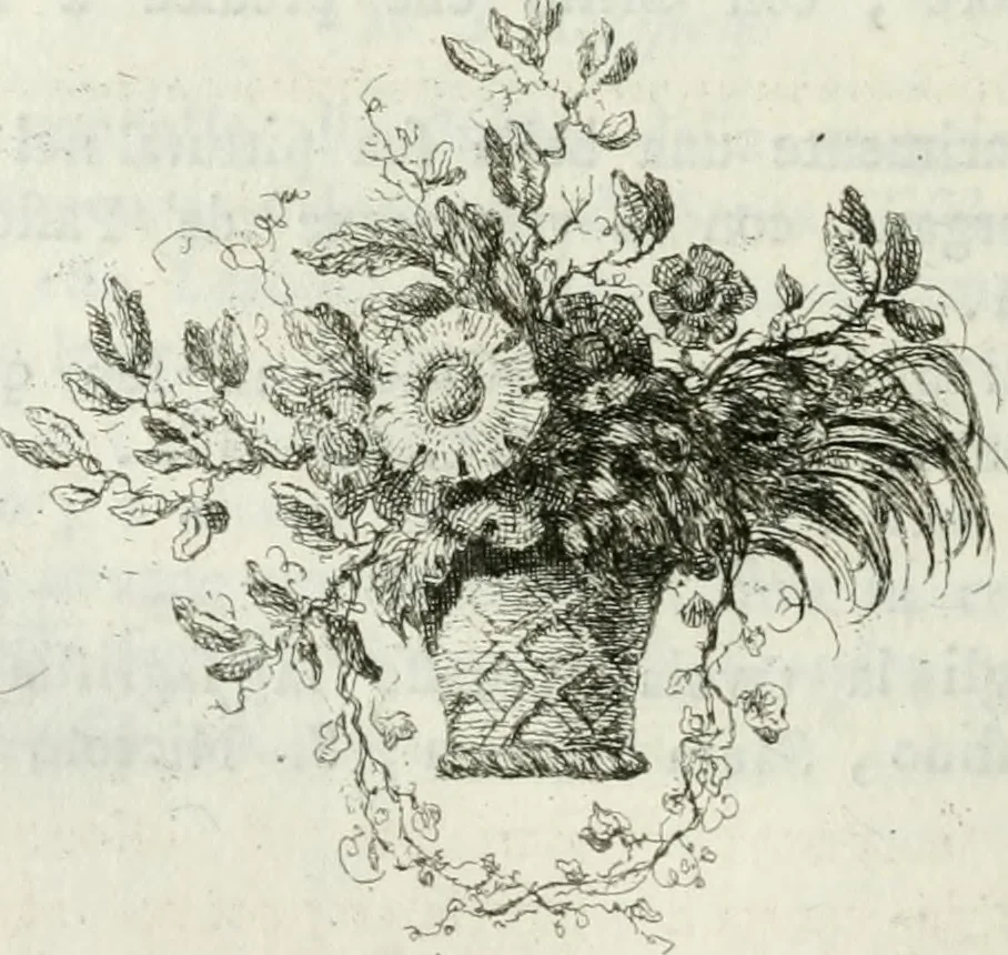An illustration from Della pittura veneziana e delle opere pubbliche de' veneziani maestri libri V, 1771, leaf 315