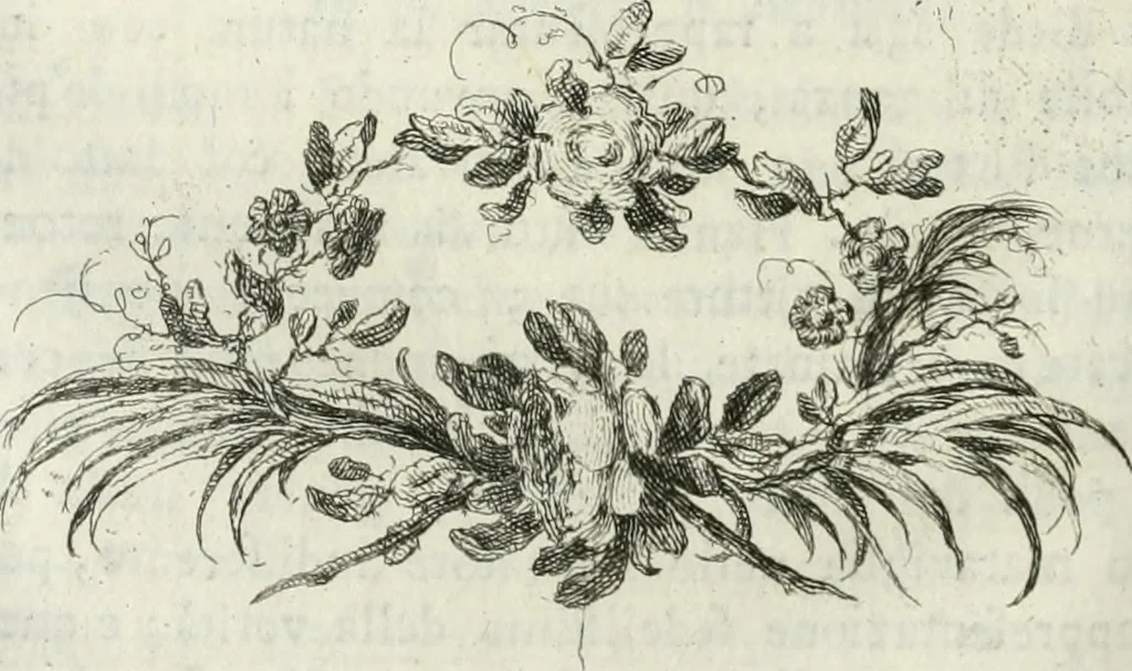 An illustration from Della pittura veneziana e delle opere pubbliche de' veneziani maestri libri V, 1771, leaf 411