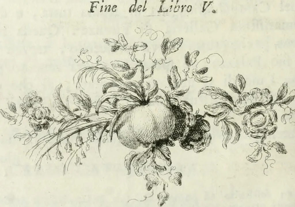 An illustration from Della pittura veneziana e delle opere pubbliche de' veneziani maestri libri V, 1771, leaf 505