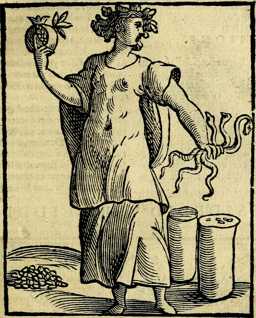 An illustration from Della piu che novissima iconologia, 1630, leaf 120