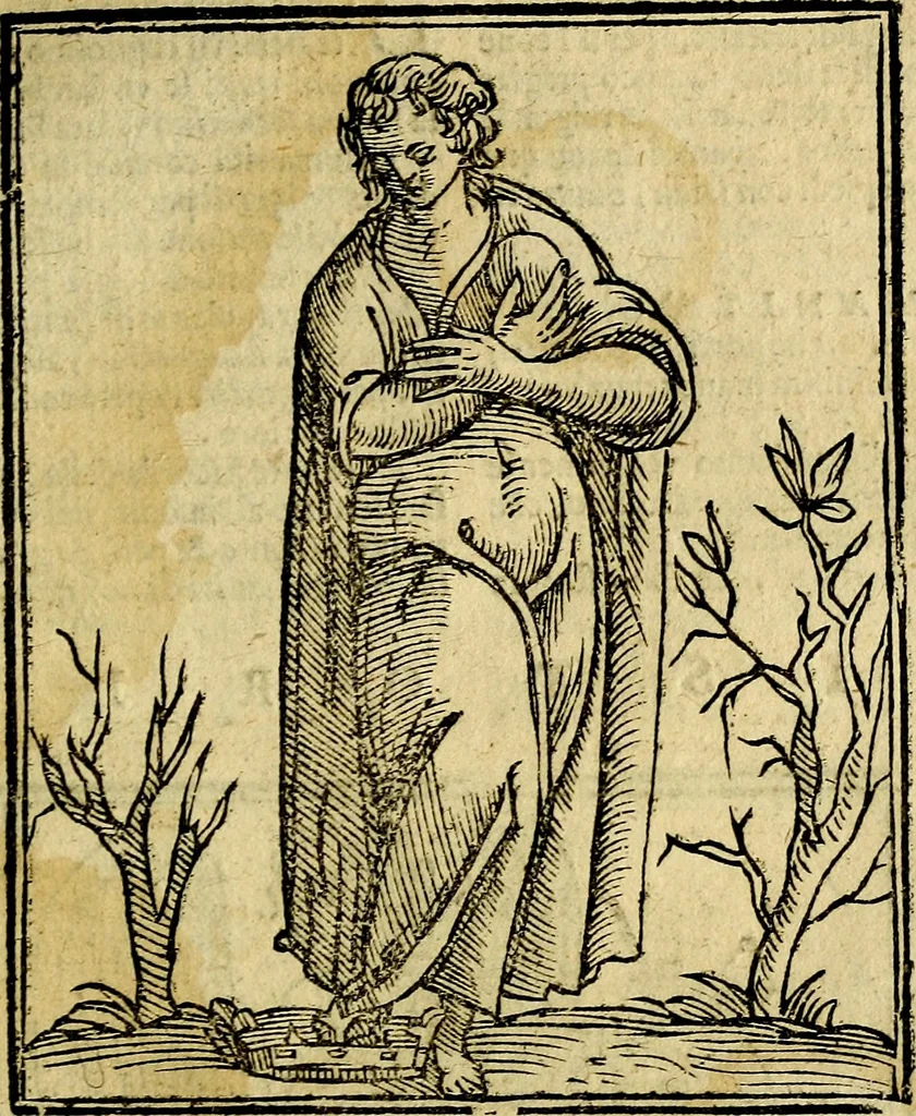 An illustration from Della piu che novissima iconologia, 1630, leaf 218