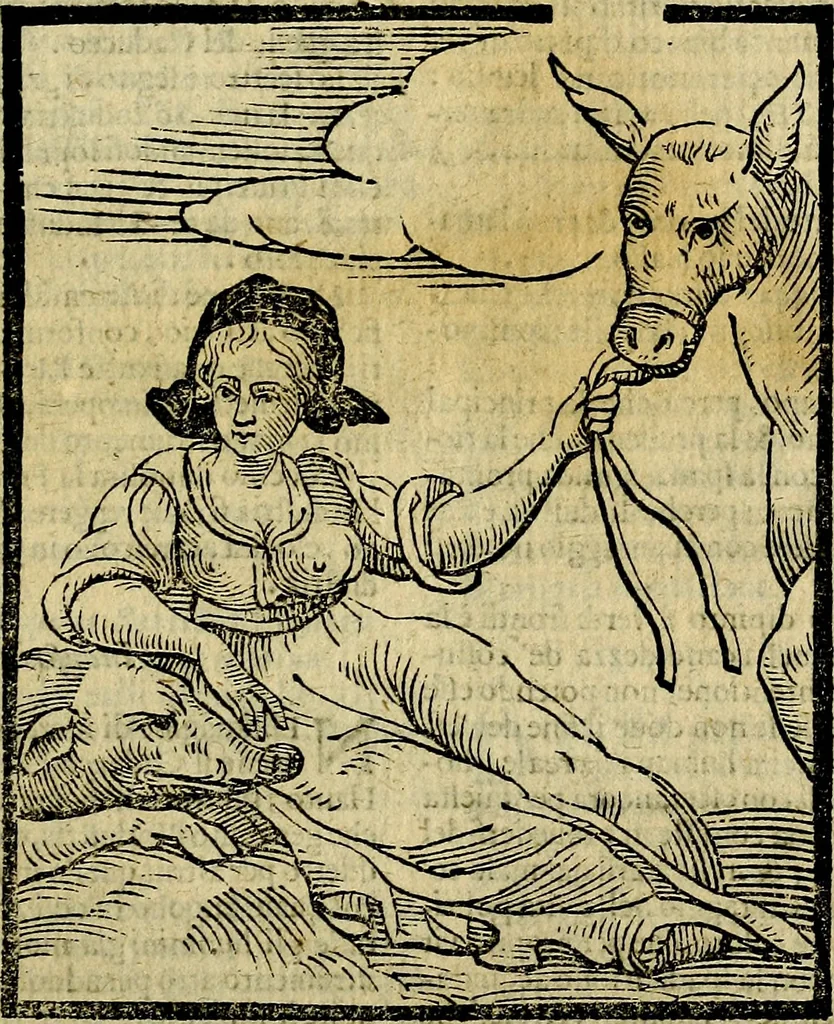 An illustration from Della piu che novissima iconologia, 1630, leaf 228
