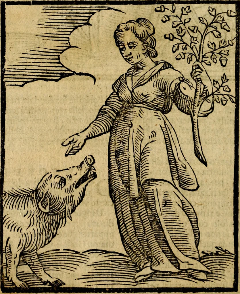 An illustration from Della piu che novissima iconologia, 1630, leaf 235