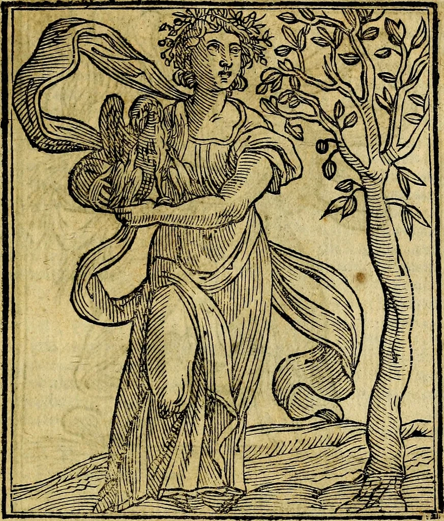 An illustration from Della piu che novissima iconologia, 1630, leaf 70
