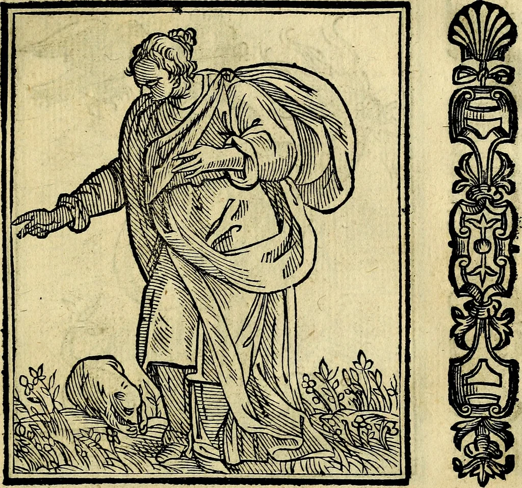 An illustration from Della piu che novissima iconologia, 1630, leaf 80