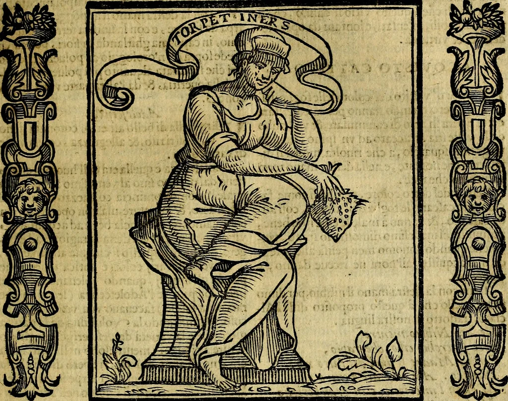 An illustration from Della piu che novissima iconologia, 1630, leaf 116
