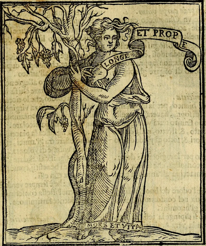 An illustration from Della piu che novissima iconologia, 1630, leaf 136